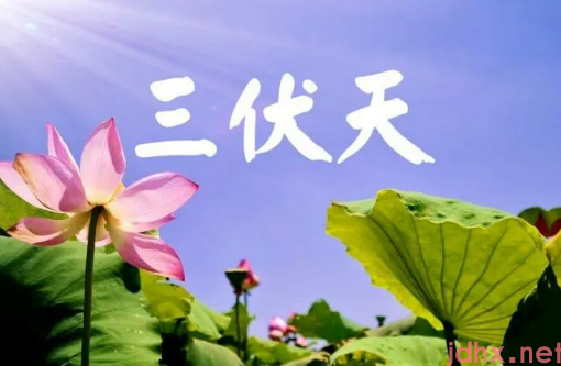 2022年三伏天是公伏还是母伏2