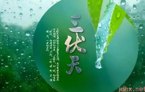2022年三伏天是公伏还是母伏1