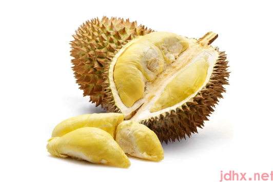 榴莲泡黄水是干什么3
