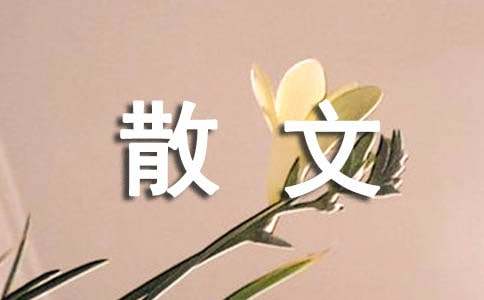 起头生活经典散文