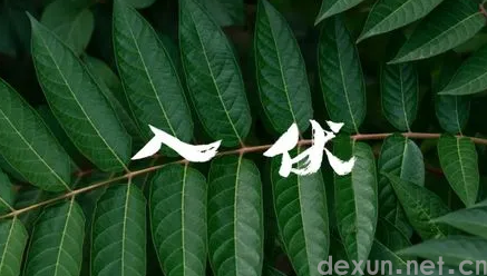 2023小暑后几天进入伏天2