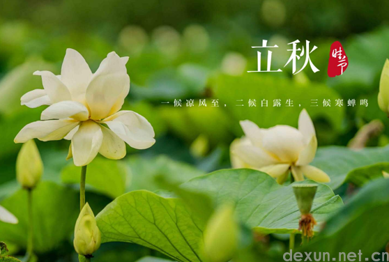 2023立秋后一个月还热吗1