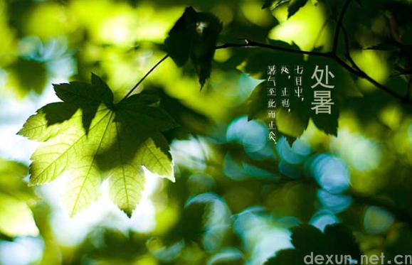 2023年处暑时间是下午还是上午3