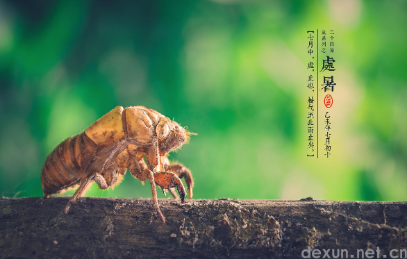 2023年处暑当天申时交运什么时候2