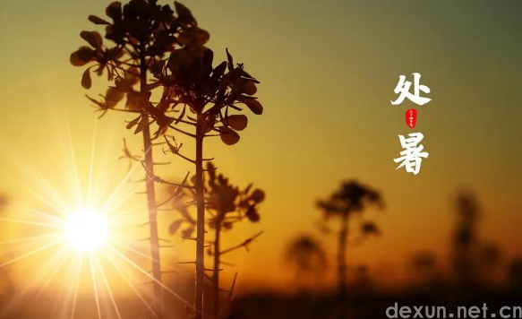 2023年处暑当天申时交运什么时候3