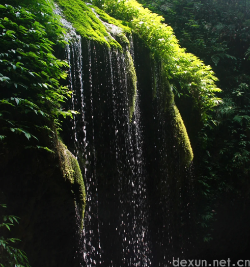 青城山有必要坐索道吗3