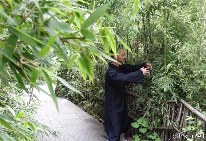 太极站桩,站的是什么桩?(图1) 太极站桩,站的是什么桩?(图1)