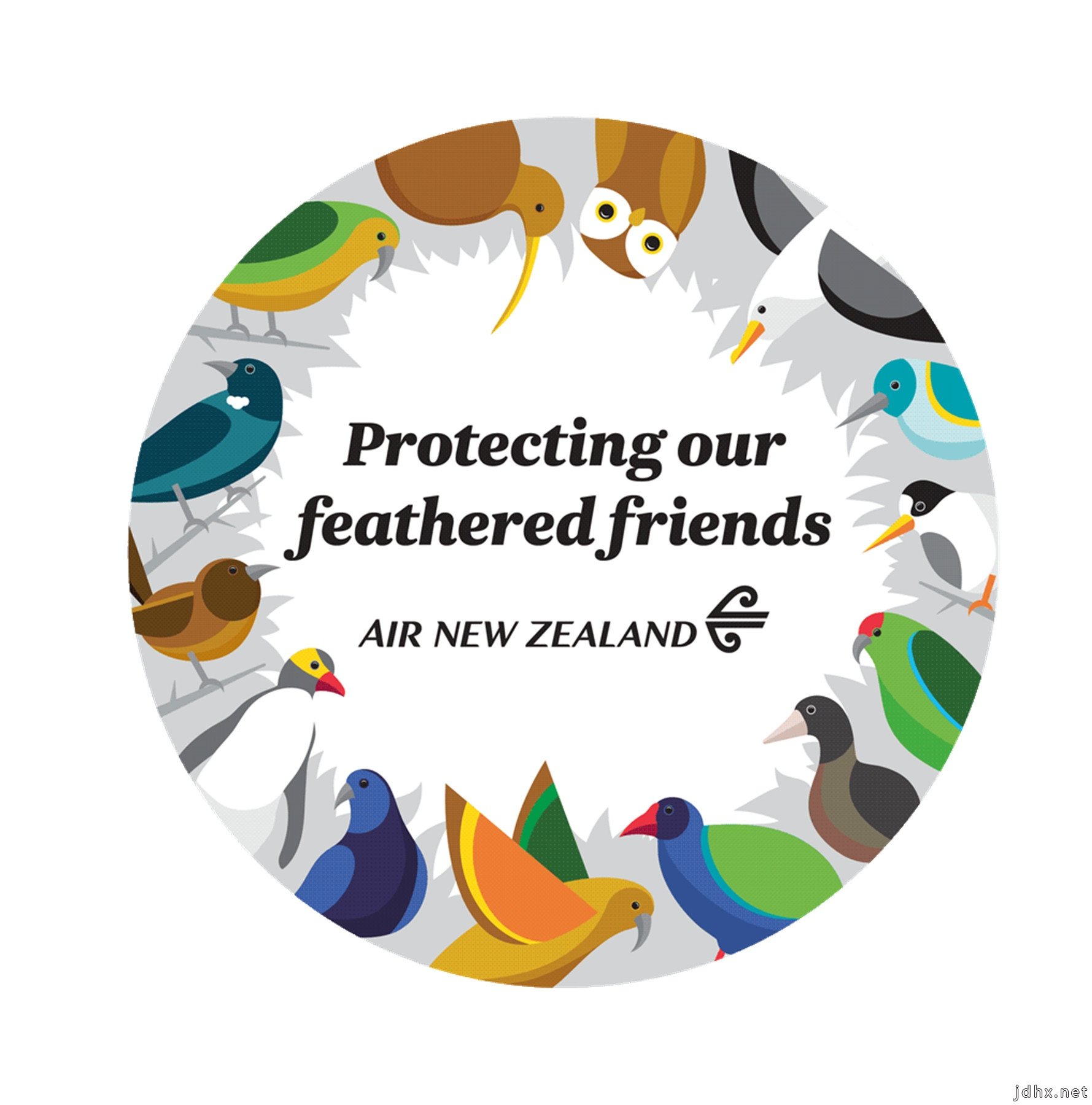 Birds