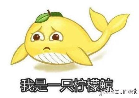 2020年都来了 2019三十大最火网络流行语热门梗新词你盘明白没