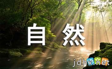 《自然之谜》的初中读后感