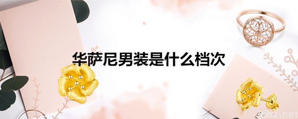 华萨尼男装是什么档次(图1)