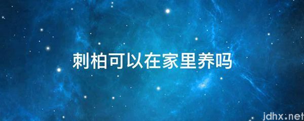 刺柏可以在家里养吗(图1)