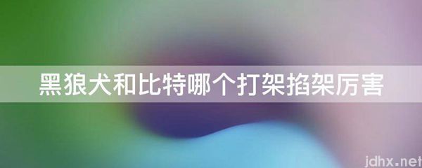 黑狼犬和比特哪个打架掐架厉害(图1)
