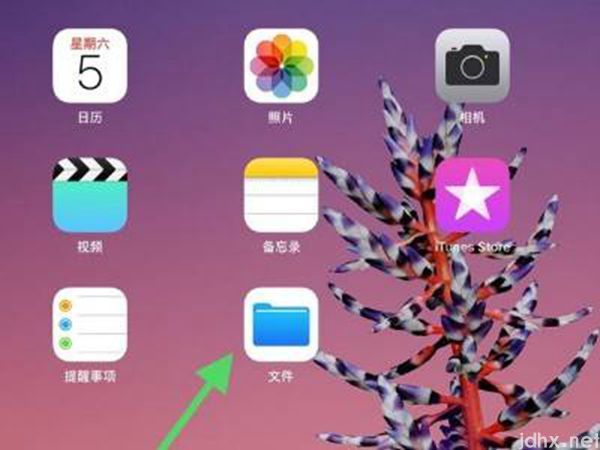 ipad网盘下载的文件在什么地方(图2)