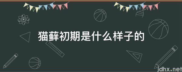 猫藓初期是什么样子的(图1)