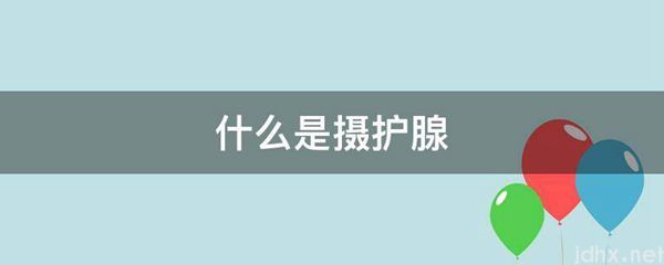 什么是摄护腺(图1)