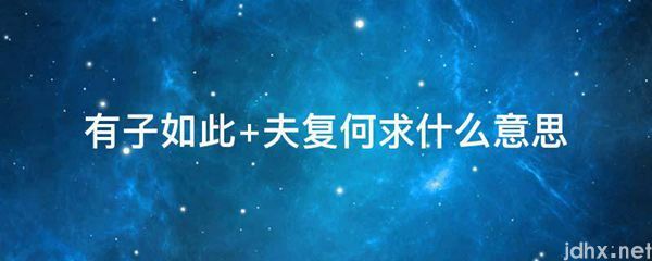 有子如此 夫复何求什么意思(图1)