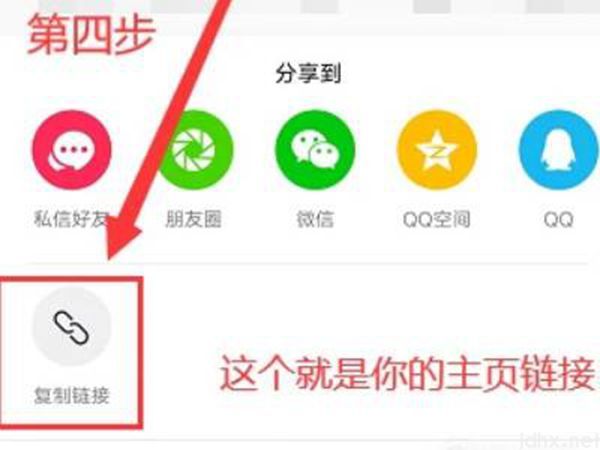 抖音主页链接怎么复制(图4)