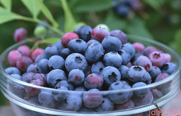 蓝莓表面的白霜是农药残留吗2