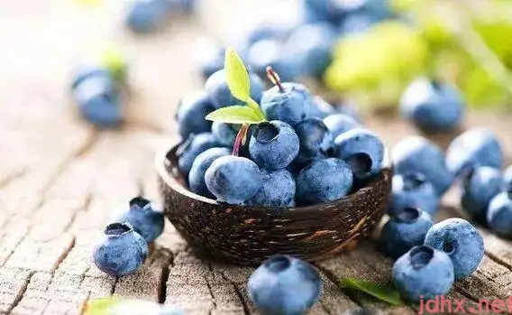 蓝莓哪个品种花青素最多3