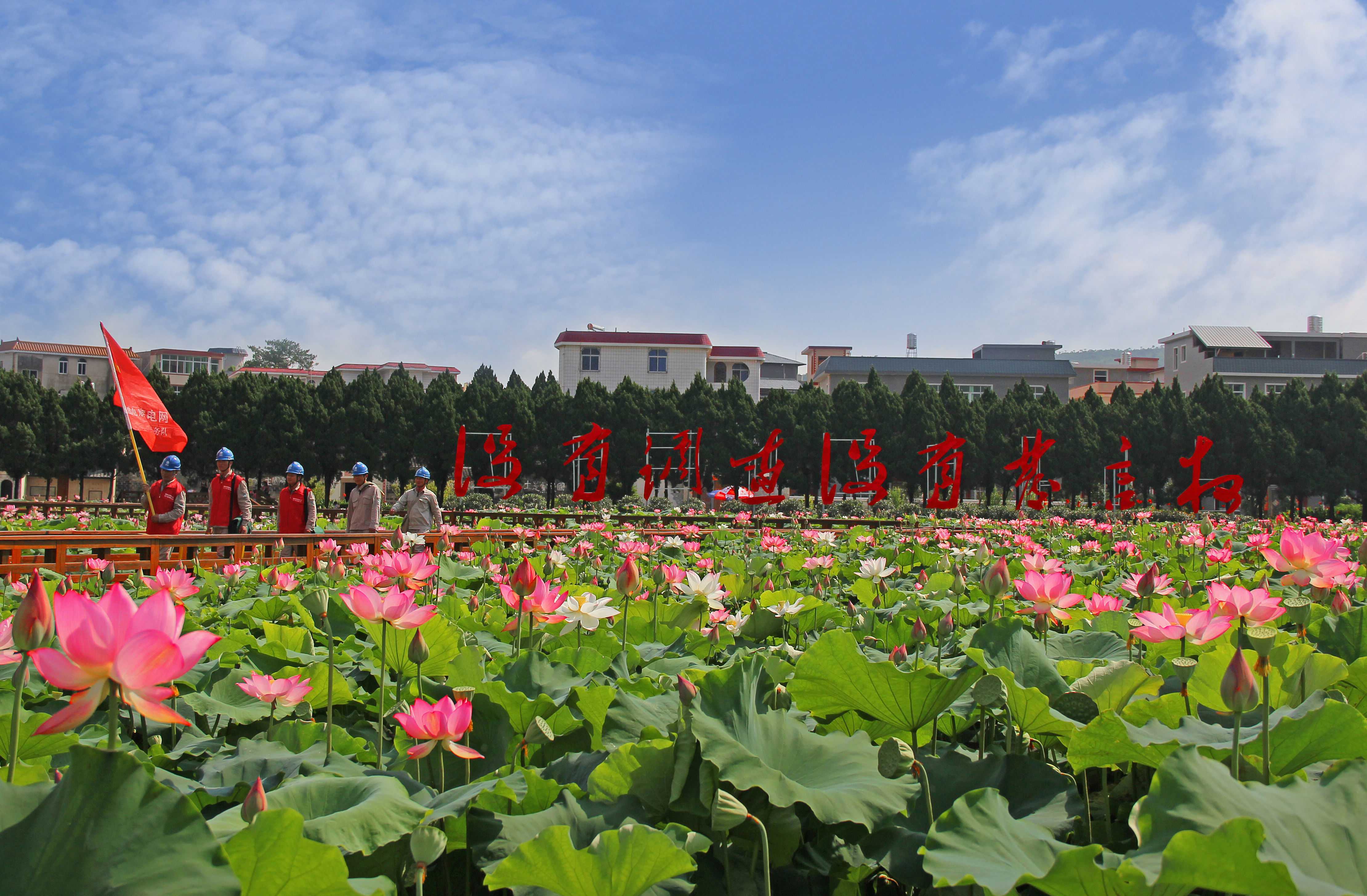 苏区精神永续 点亮八闽大地
