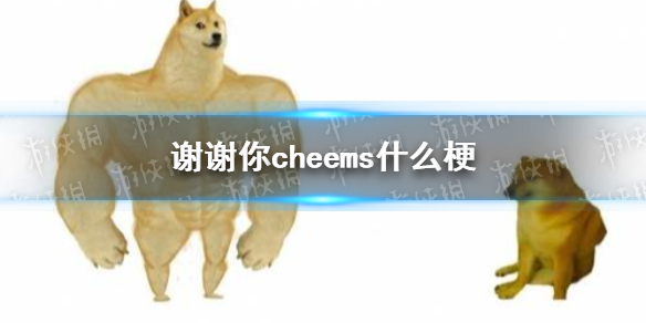 游侠网1