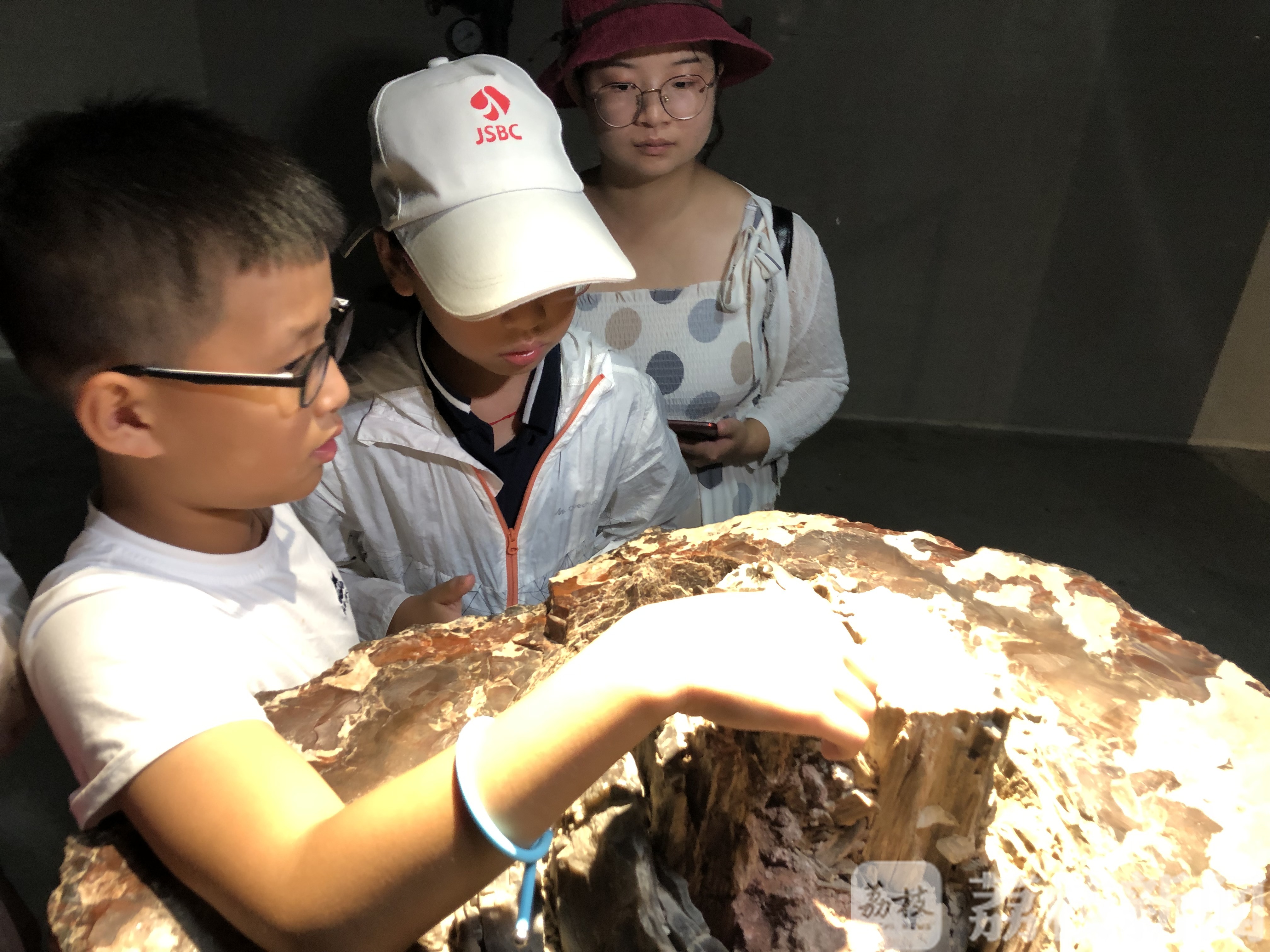寻找“金钉子” 赏古木珍品 “未来科学家”科普探秘