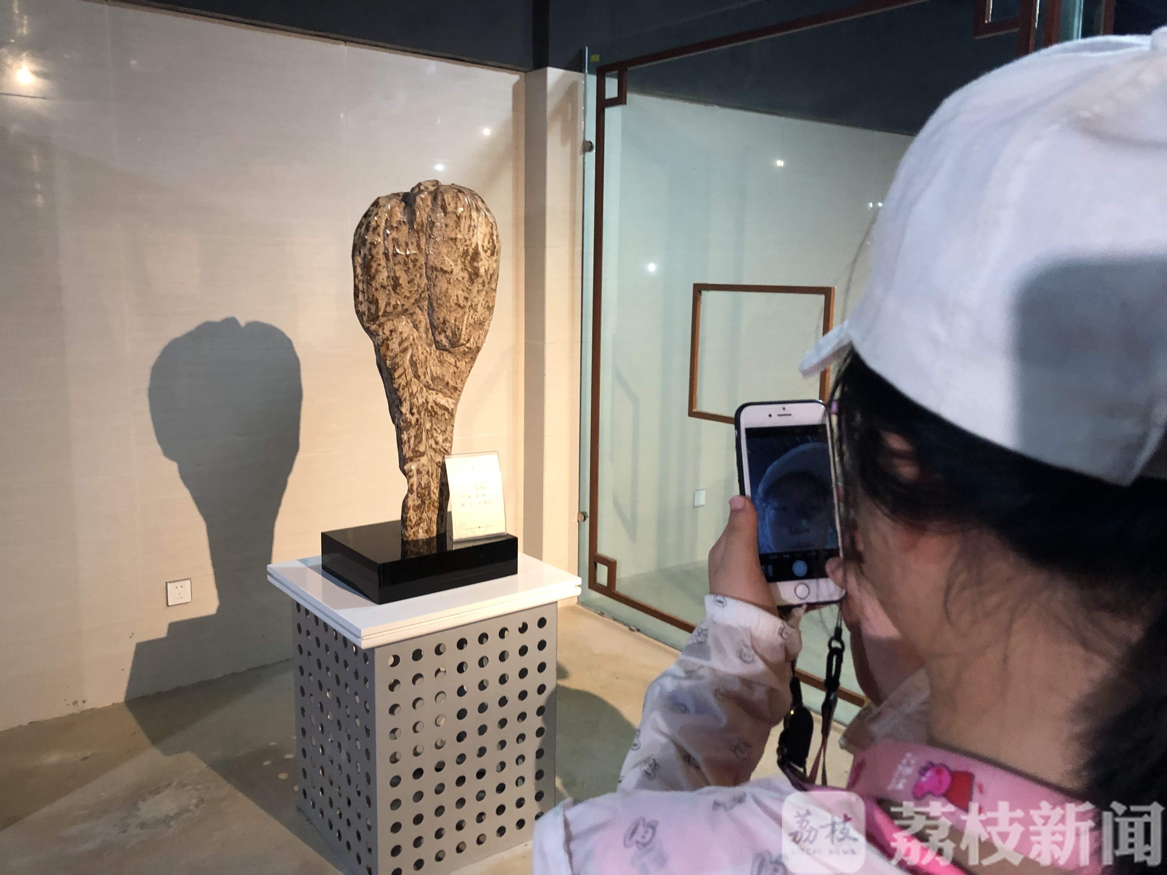寻找“金钉子” 赏古木珍品 “未来科学家”科普探秘