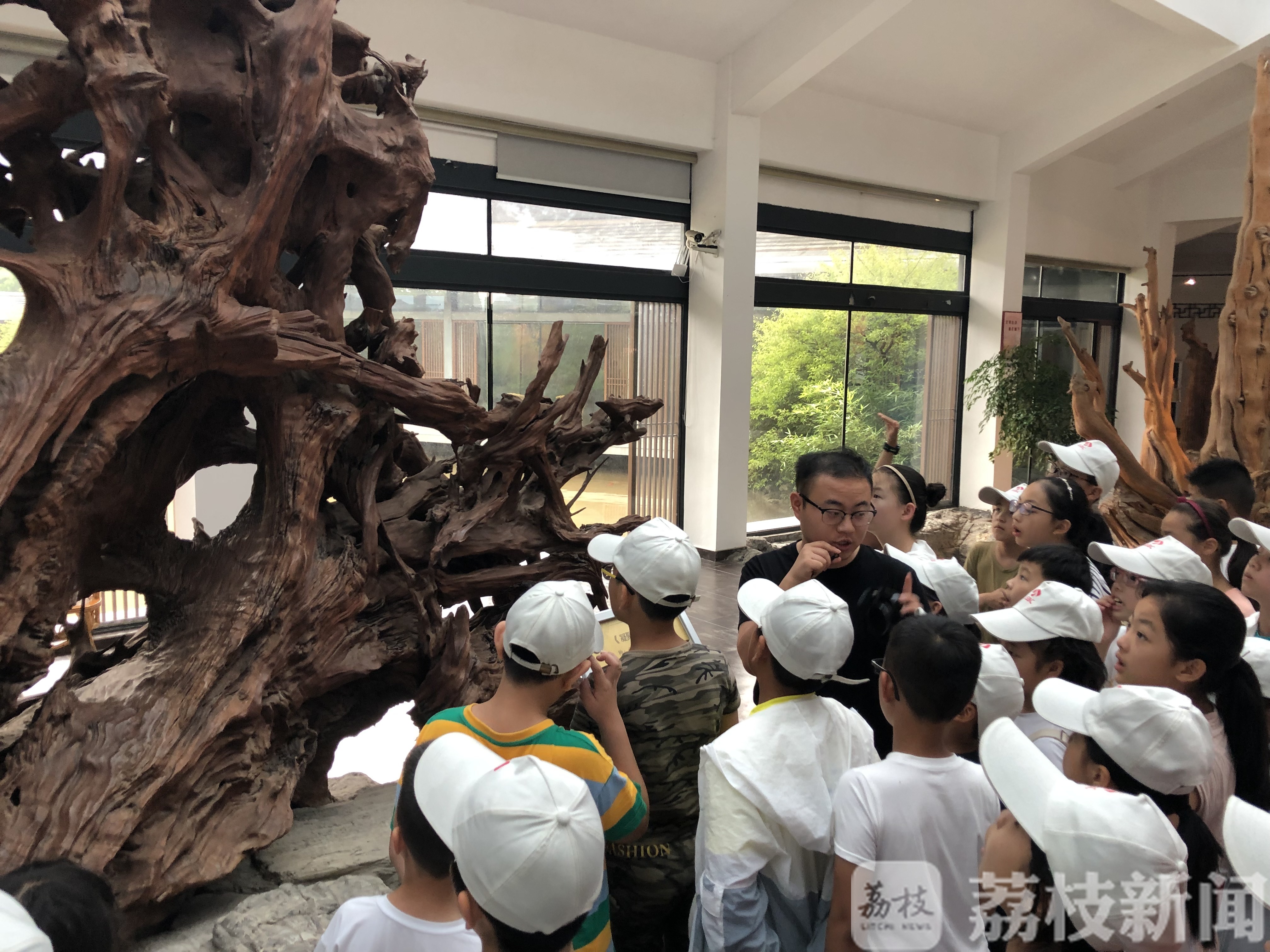 寻找“金钉子” 赏古木珍品 “未来科学家”科普探秘