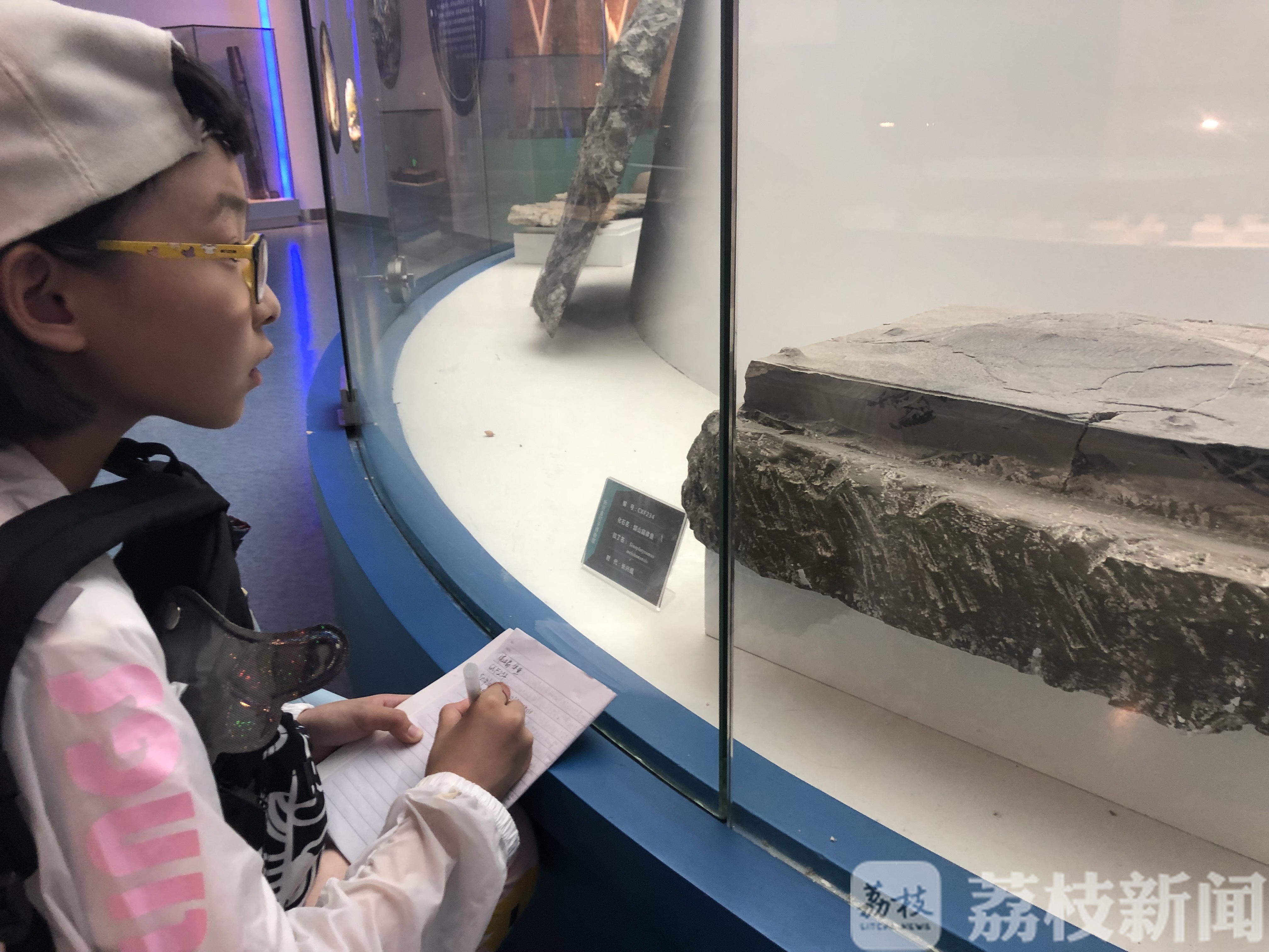 寻找“金钉子” 赏古木珍品 “未来科学家”科普探秘