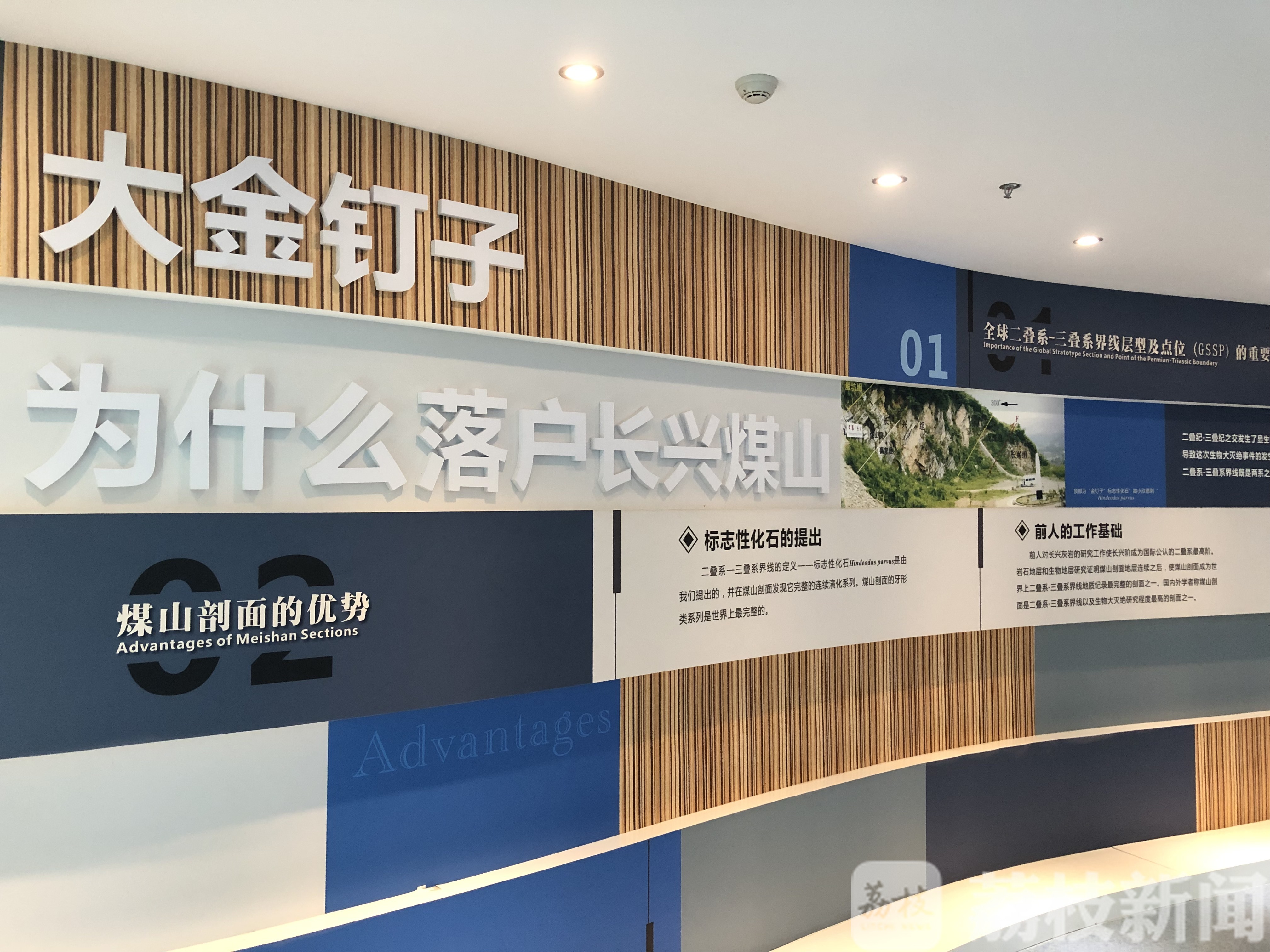 寻找“金钉子” 赏古木珍品 “未来科学家”科普探秘