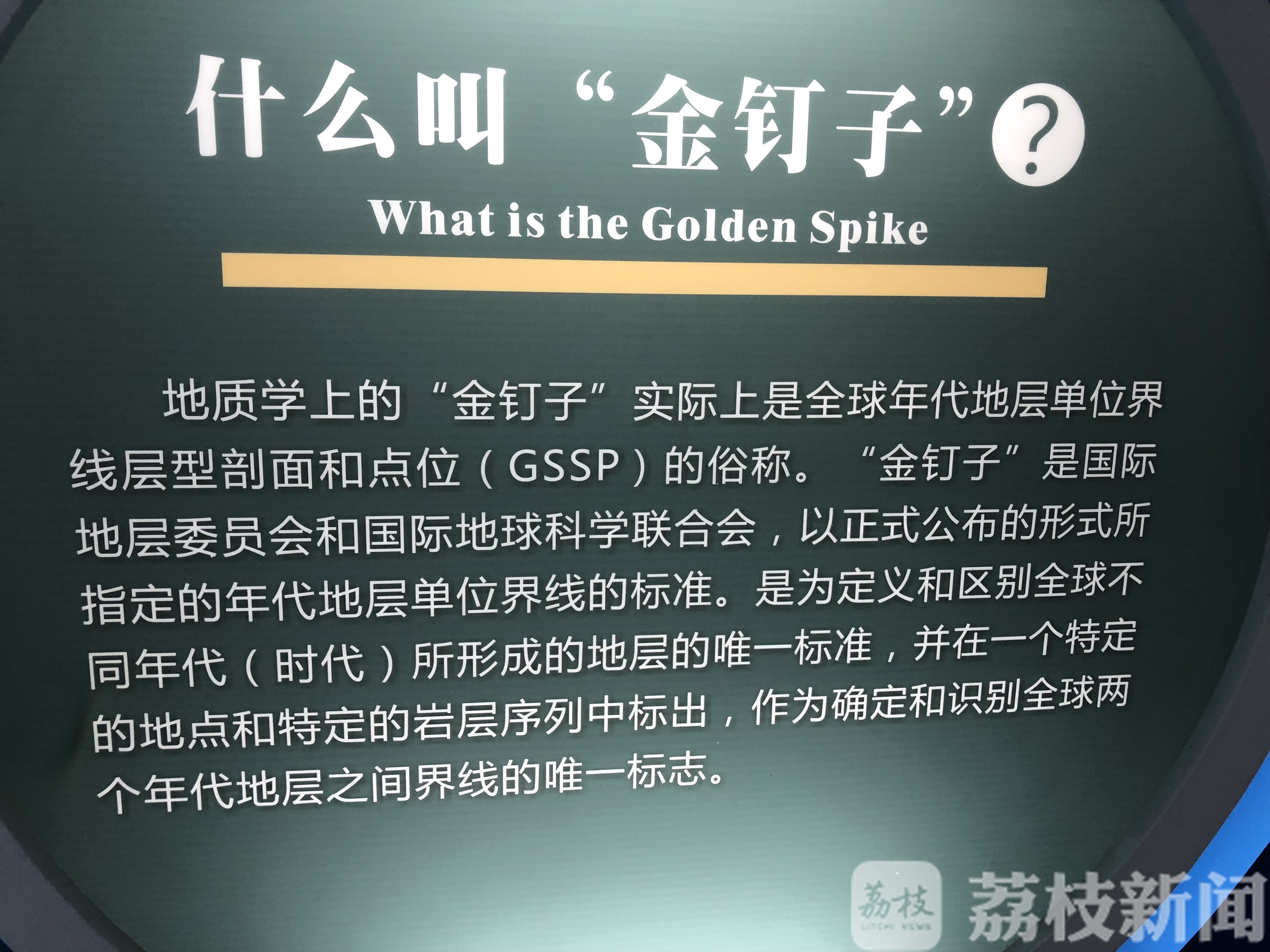 寻找“金钉子” 赏古木珍品 “未来科学家”科普探秘