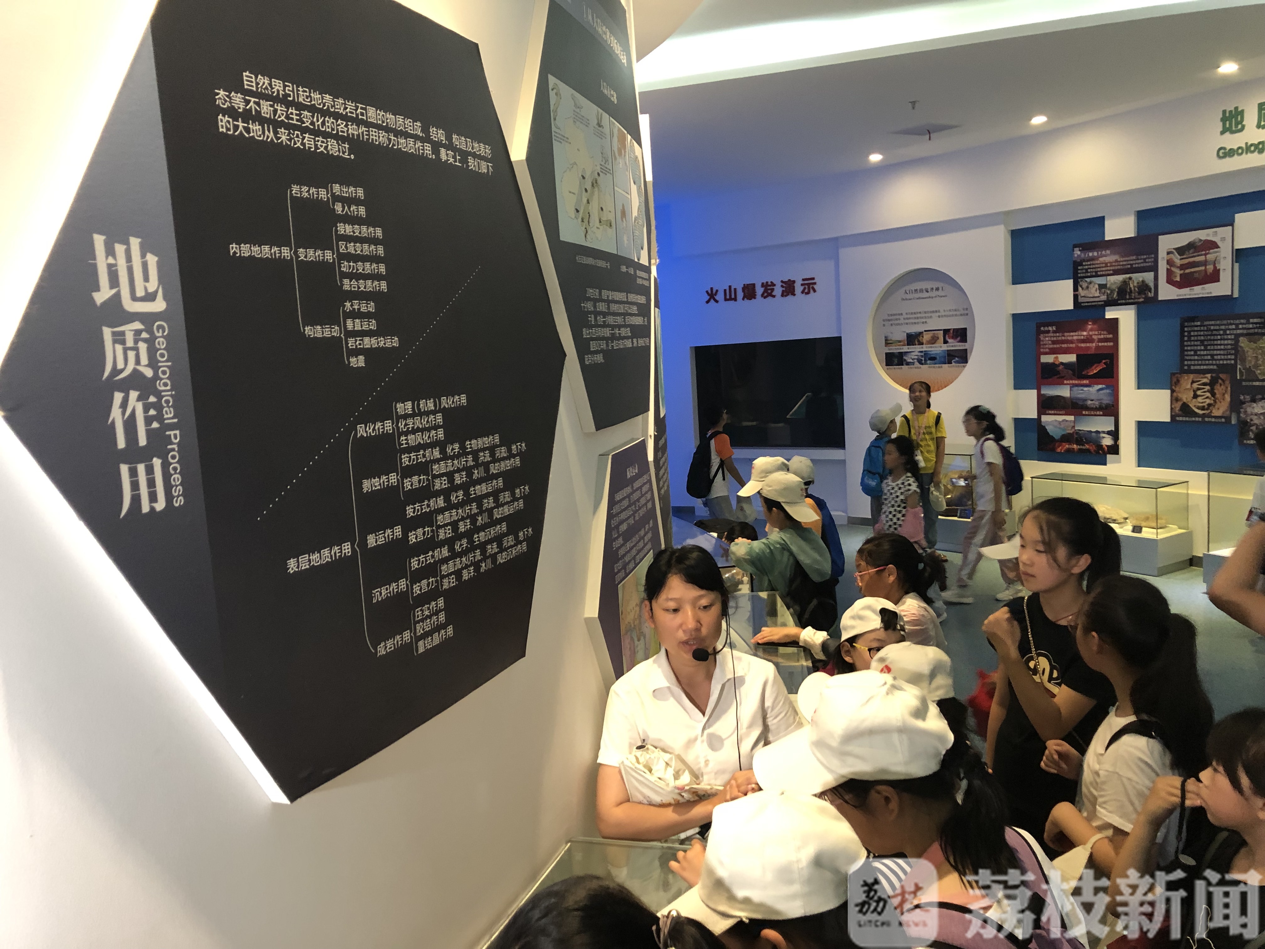 寻找“金钉子” 赏古木珍品 “未来科学家”科普探秘