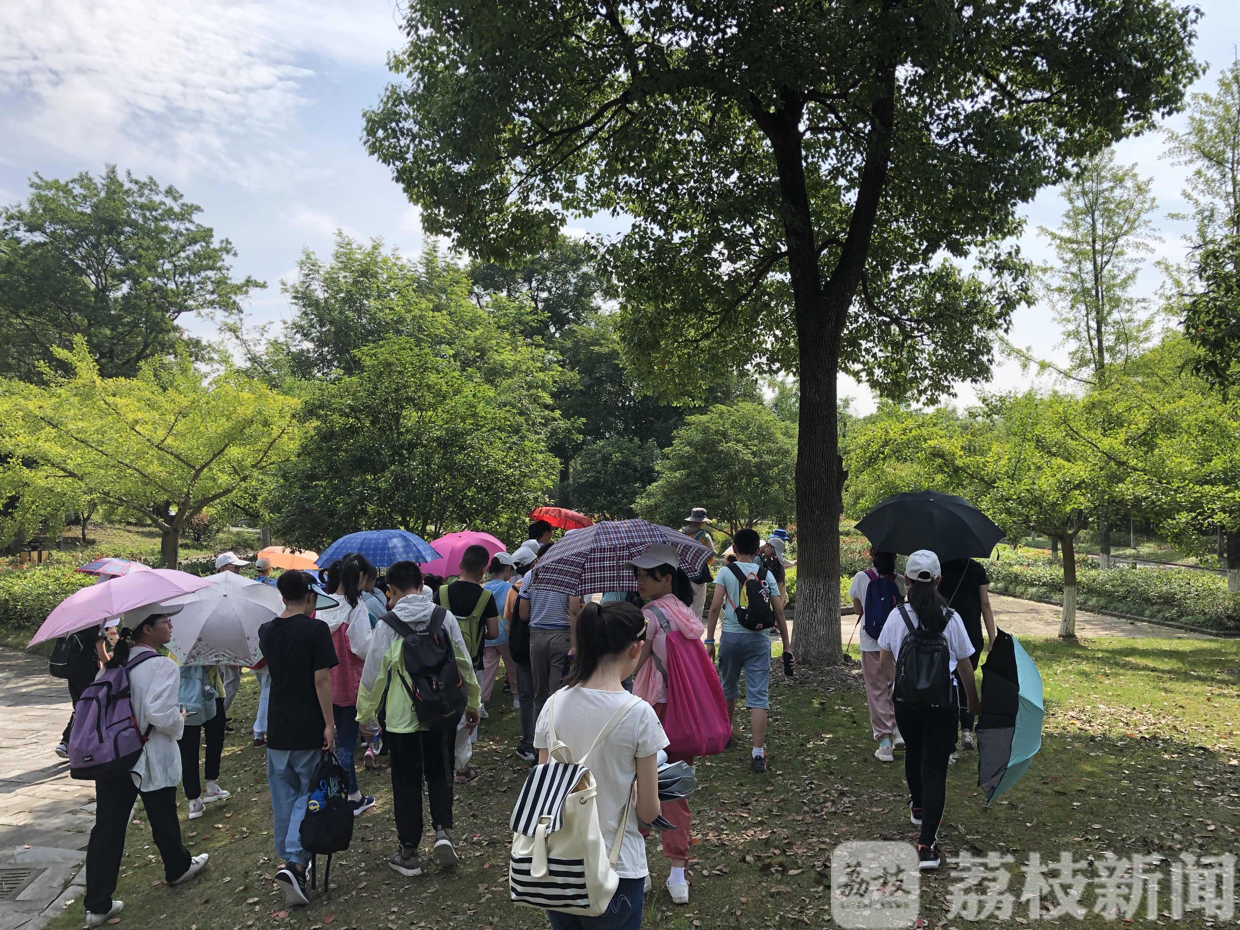 寻找“金钉子” 赏古木珍品 “未来科学家”科普探秘