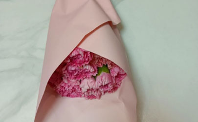 喵街种花中间能不能换花